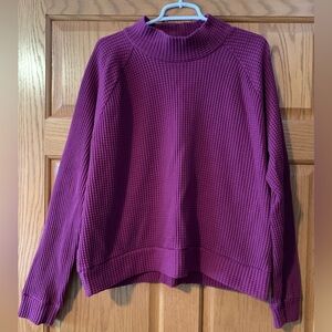 Purple The North Face Chabot Mock Neck Pullover Sweater